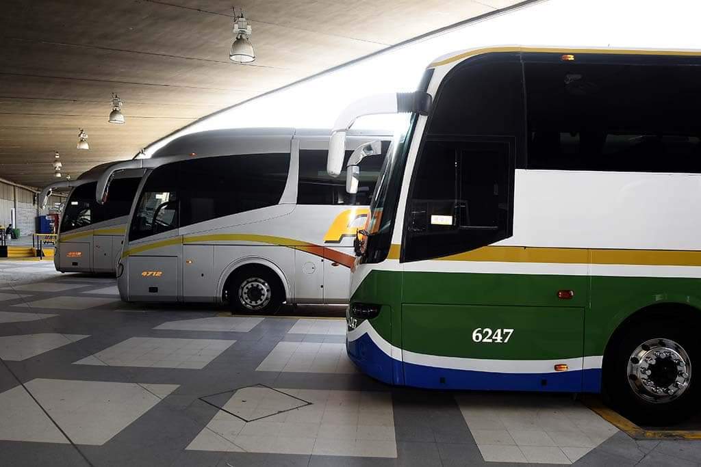 Disminuciones tarifarias serán del 50 y 25 por ciento, respectivamente, para quienes viajen por autotransporte o ferrocarril