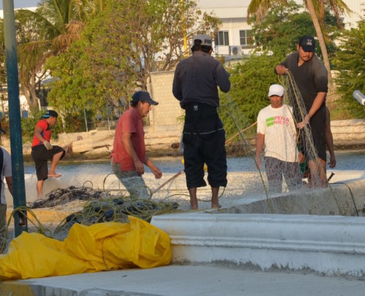 Desinterés de pescadores al programa Seguro de Vida