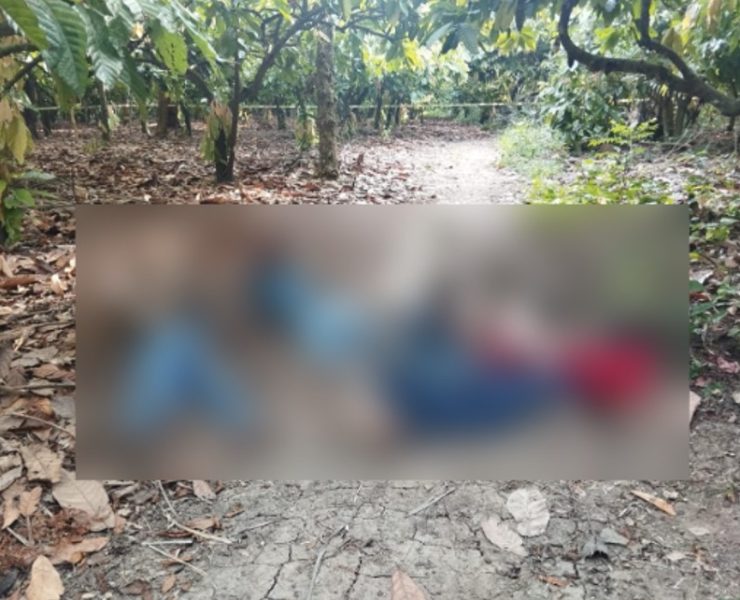 Ejecutan a 6 jóvenes en Paraíso