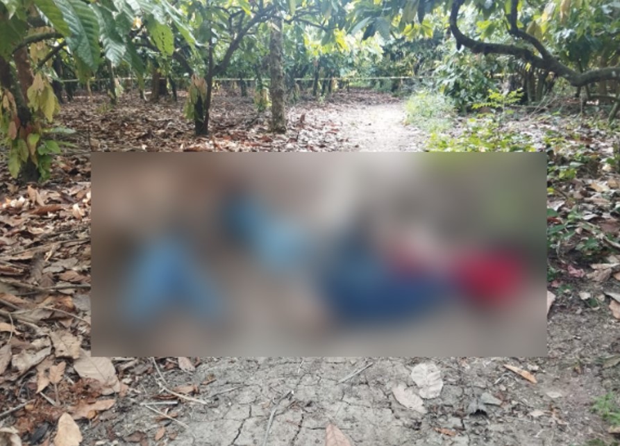 Ejecutan a 6 jóvenes en Paraíso