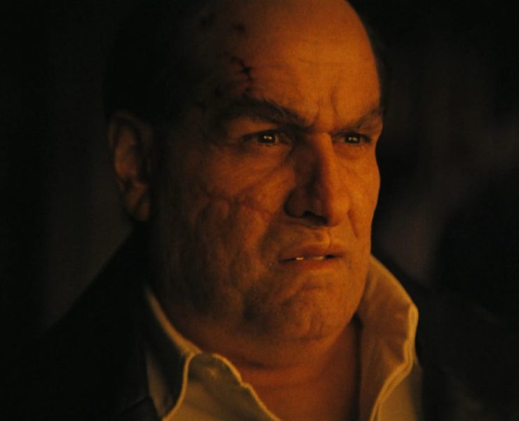 La serie de El Pingüino