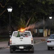 Continuarán fumigaciones contra el mosquito del dengue en Mérida y Municipios
