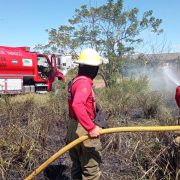 Suman 107 incendios de pastizales en Tabasco en lo que va 2024