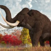 Los científicos están más cerca de revivir al Mamut