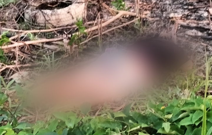 Otra mujer asesinada en Tabasco; su cuerpo fue encontrado en una carretera
