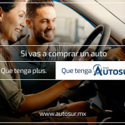 ¿Cuáles son los plus que ofrece Autosur?