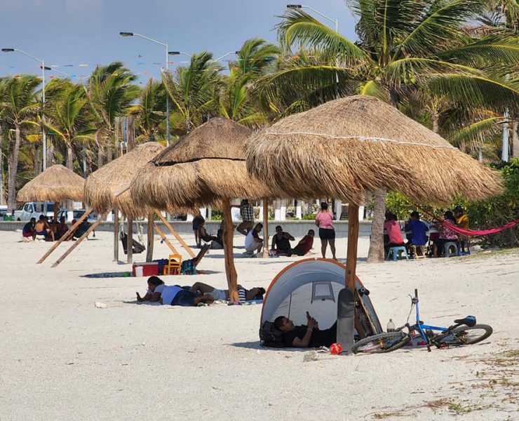 No se ve el trabajo de la presidenta de la AMHyM de Ciudad del Carmen