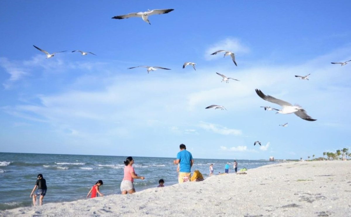 No se ve el trabajo de la presidenta de la AMHyM de Ciudad del Carmen