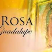 Televisa de luto: fallece actor de la Rosa De Guadalupe