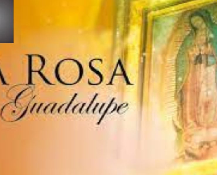 Televisa de luto: fallece actor de la Rosa De Guadalupe