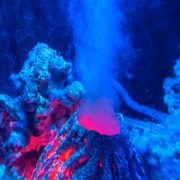 Encuentran un animal que soporta 400 °C