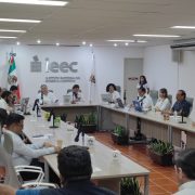 INE e IEEC deben tomar en cuenta los antecedentes de los candidatos