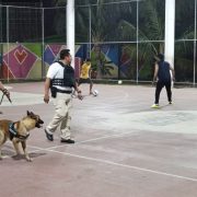 Saldo blanco en la primera semana de vacaciones