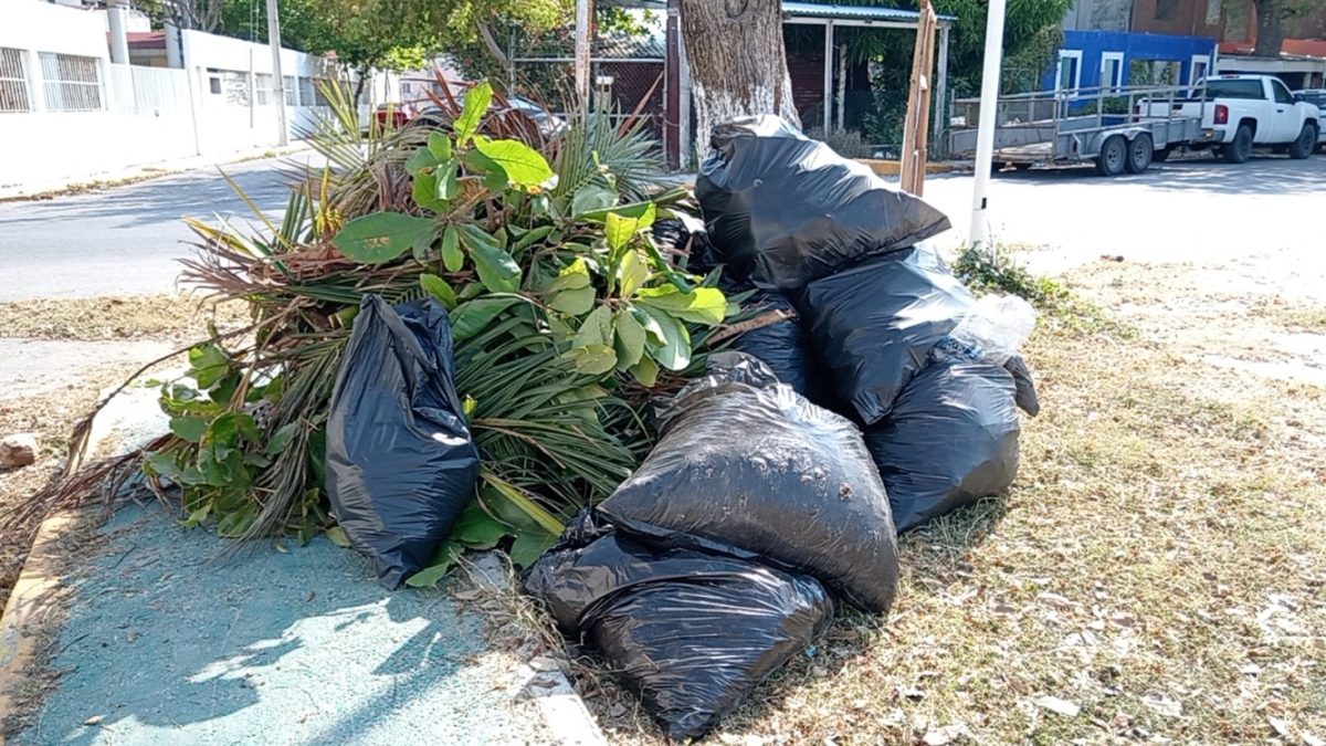 Ambientalistas limpian Playita del Guanal