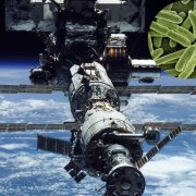 La NASA descubre bacterias mutantes