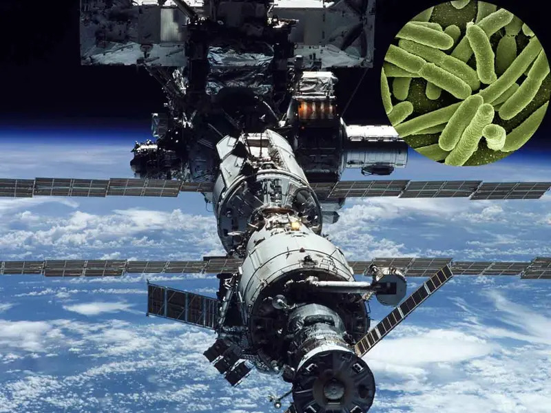 La NASA descubre bacterias mutantes