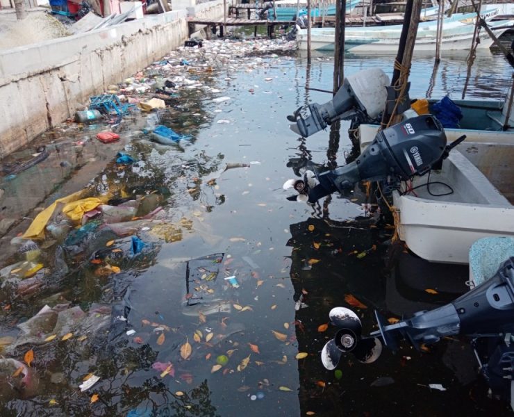 Policía Municipal niega apoyo de seguridad a ambientalistas