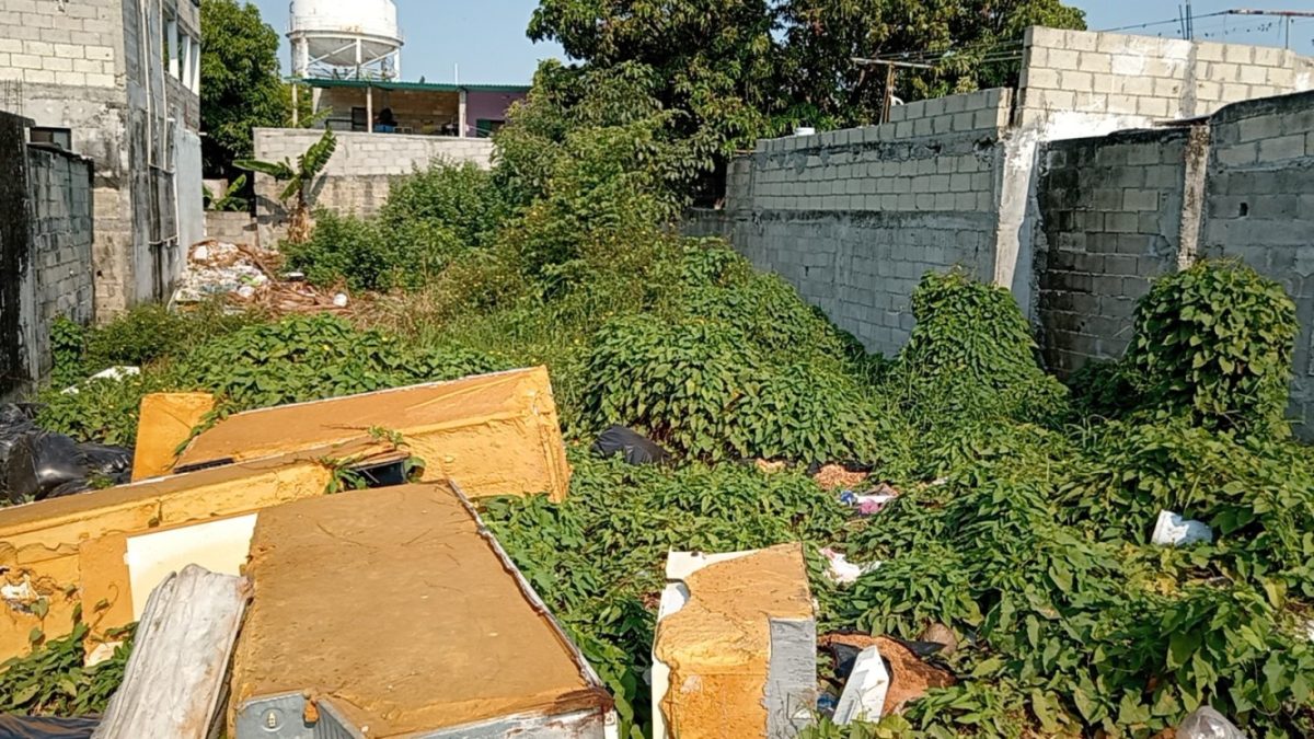 Predio baldío en la colonia Benito Juárez convertido en basurero