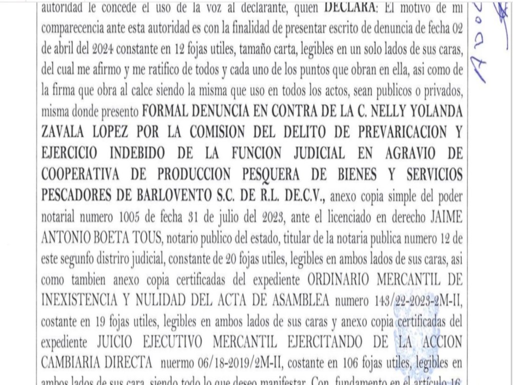 Denuncian a la jueza del Segundo Distrito del Ramo Mercantil