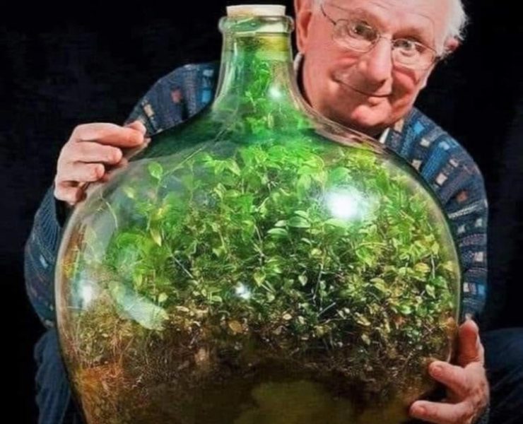 Un ecosistema en una botella