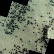 Encuentran arañas en Marte