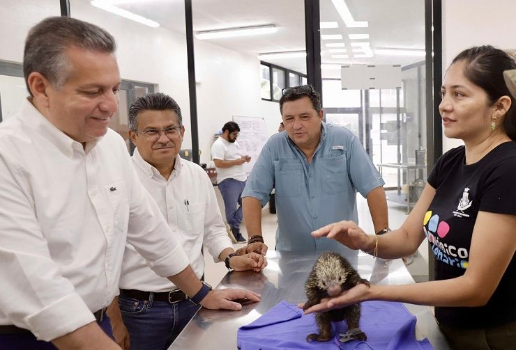 Atención médica especializada para especies en El Centenario garantiza el Ayuntamiento
