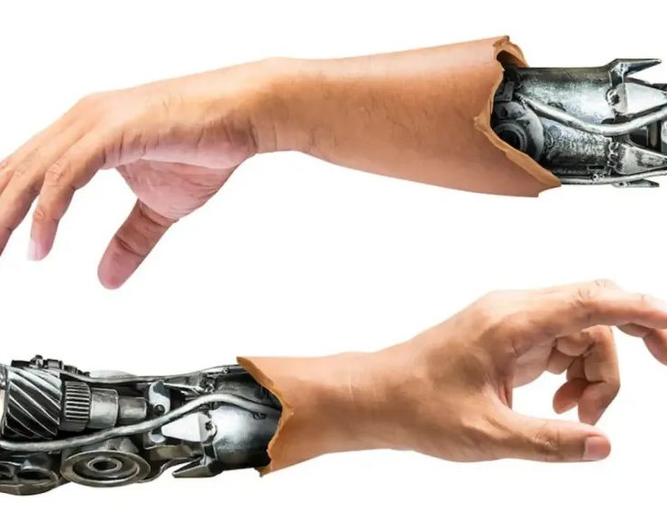 Crean un robot con células vivas