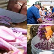 Dzan cebolla tradición yucateca de los gremios de Chumayel