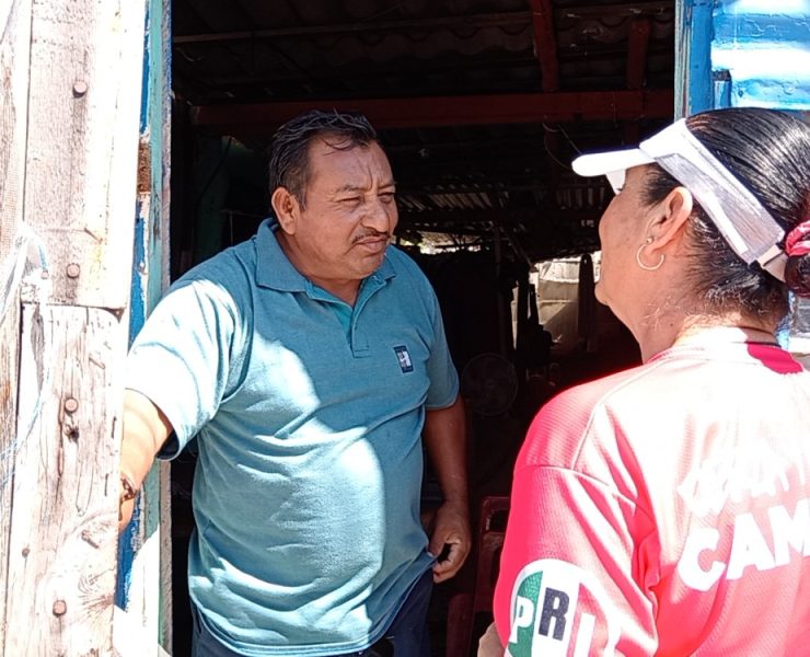 Carmelitas hartos de mentiras