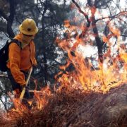Aún siguen activos los incendios forestales de Tekax: Procivy