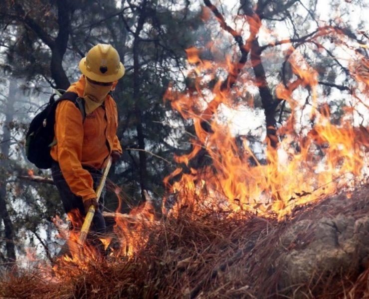 Aún siguen activos los incendios forestales de Tekax: Procivy