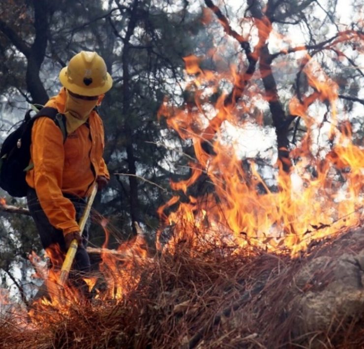 Aún siguen activos los incendios forestales de Tekax: Procivy
