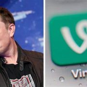 ¿Vine va a revivir?