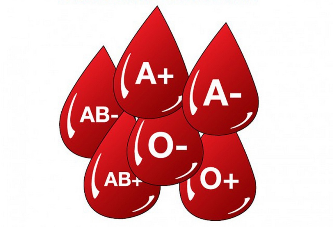 Convierten sangre A y B en O-