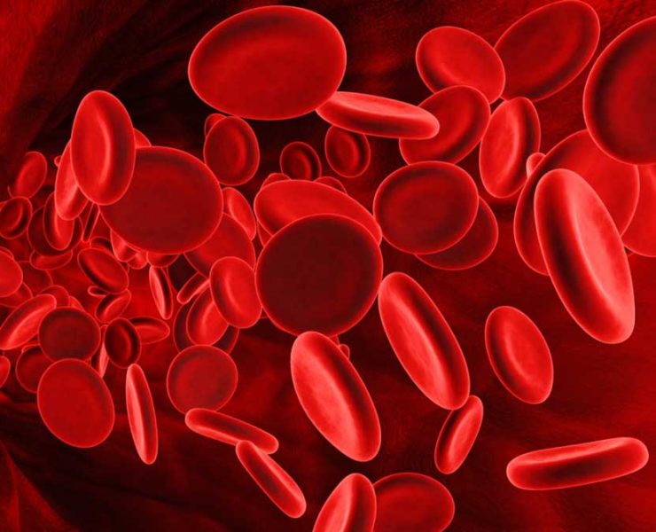 Convierten sangre A y B en O-