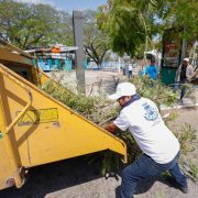 El Ayuntamiento trabaja en la atención inmediata y oportuna de reportes ciudadanos