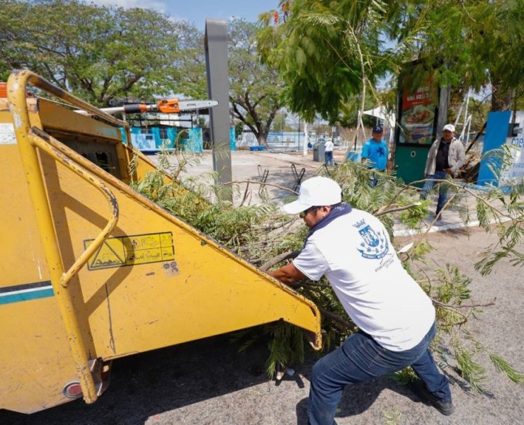 El Ayuntamiento trabaja en la atención inmediata y oportuna de reportes ciudadanos