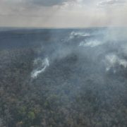 Incendio en Chun Ek Campeche