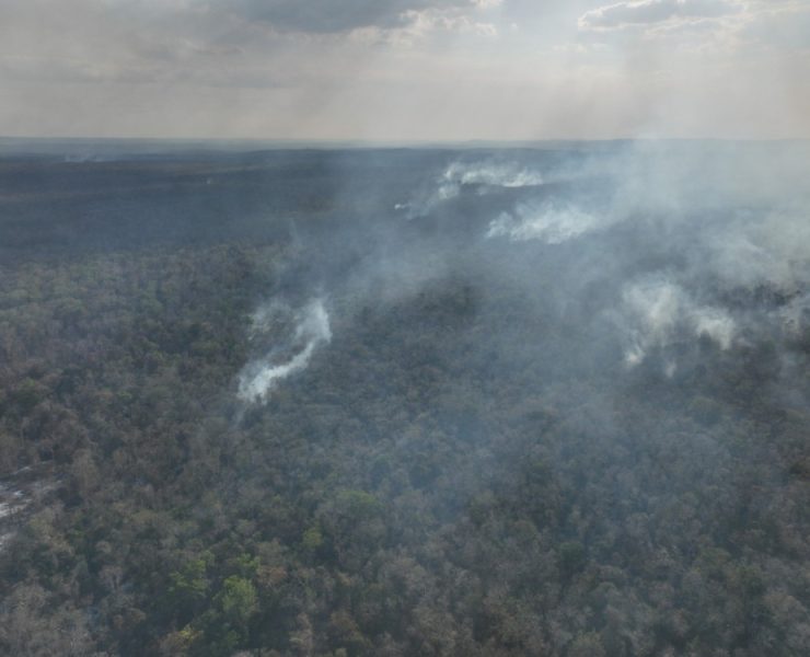 Incendio en Chun Ek Campeche
