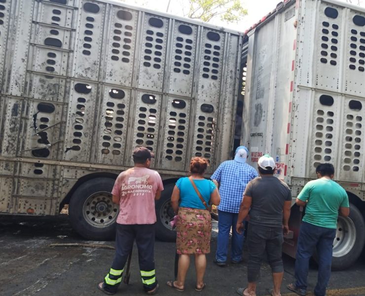 Accidente en Carretera de Tabasco Provoca Bloqueo Vial de 10 Horas