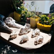 Foro Cultural 24 en Oaxaca: Encuentro de Artistas del Sistema Creación