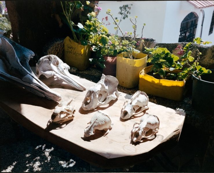 Foro Cultural 24 en Oaxaca: Encuentro de Artistas del Sistema Creación