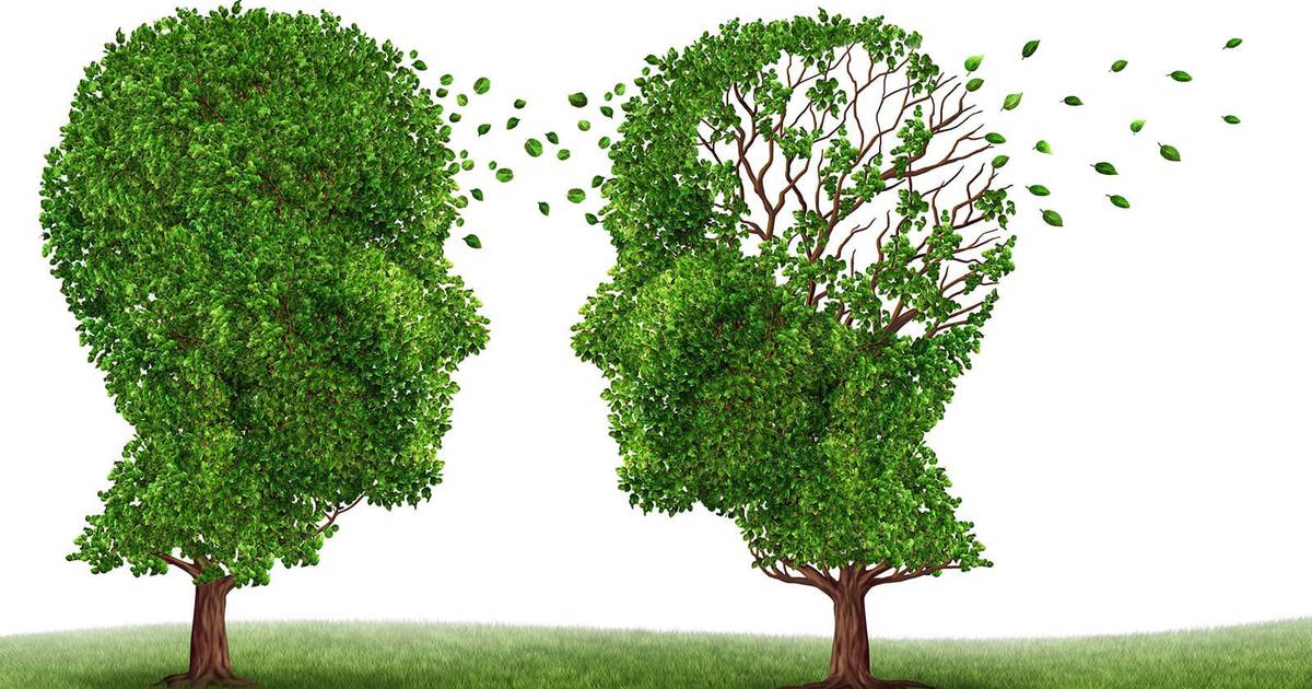 Descubren 5 tipos de Alzheimer