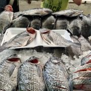 Temporada difícil para el sector ribereño