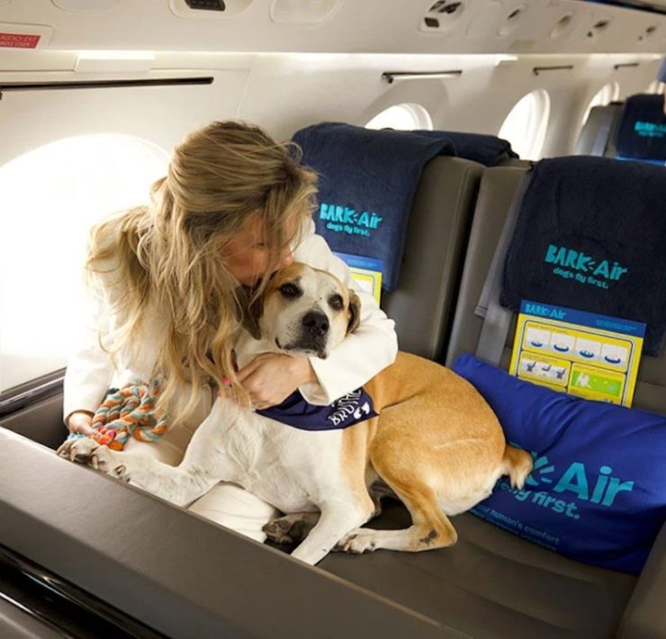 ¿Una aerolínea para mascotas?