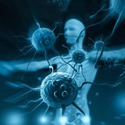 Un tratamiento para las enfermedades autoinmunes