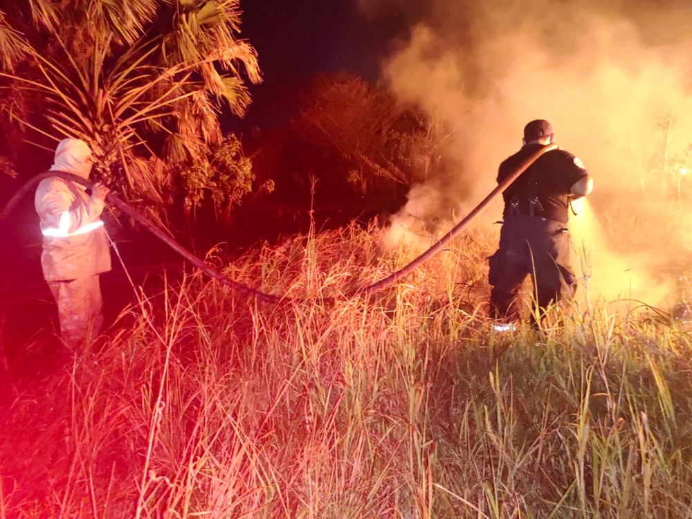 Ola de calor propicio para incendios forestales