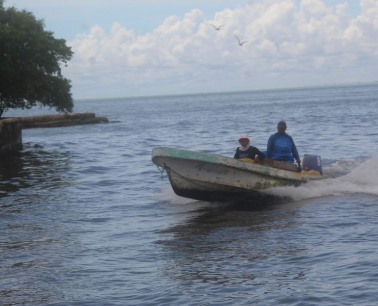 Pescadores libres se sienten dueños del mar