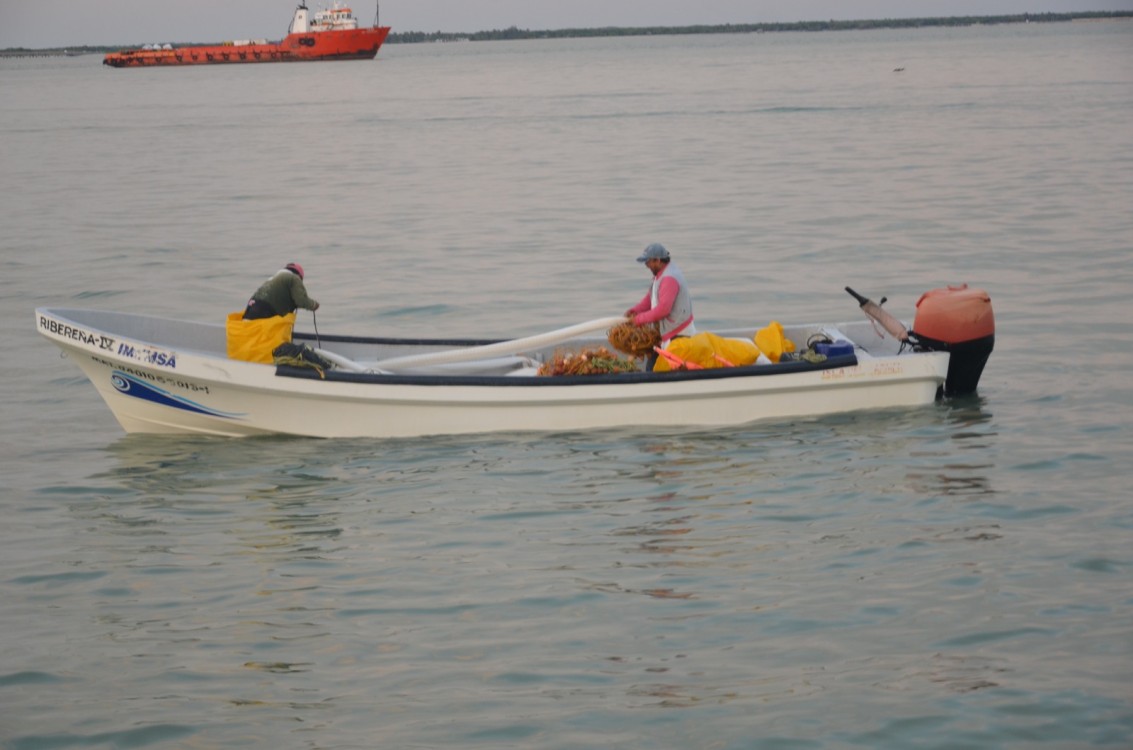 Pescadores recibieron apoyo económico de veda y baja captura