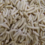 Extraen 150 gusanos de la boca